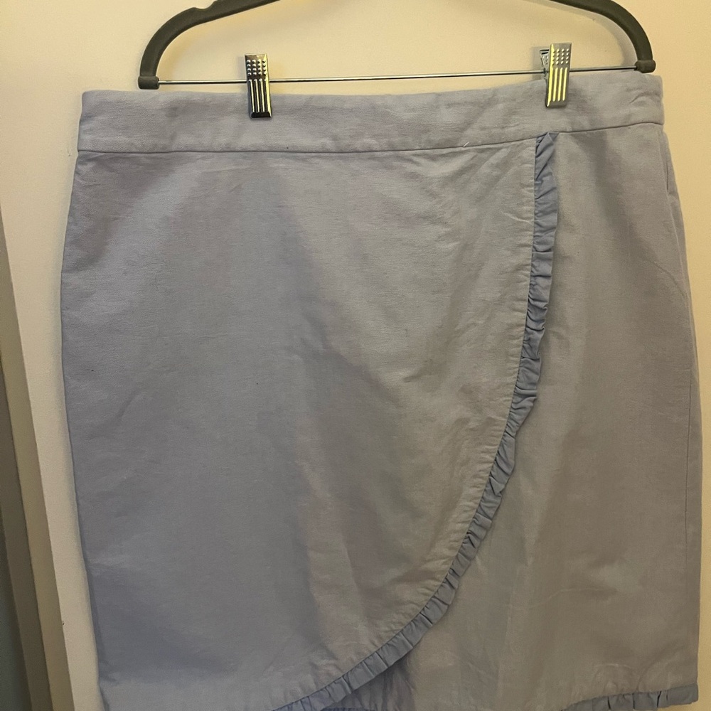 J. Crew Light Blue Skirt